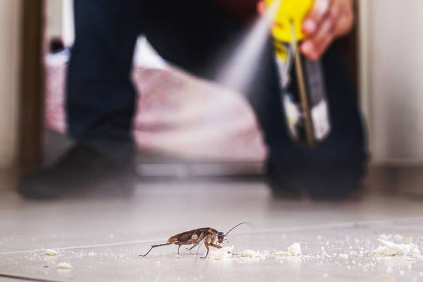 Professional Pest Control in Inkerman, PA